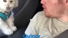 在线视频单身狗,在线视频中的单身生活揭秘